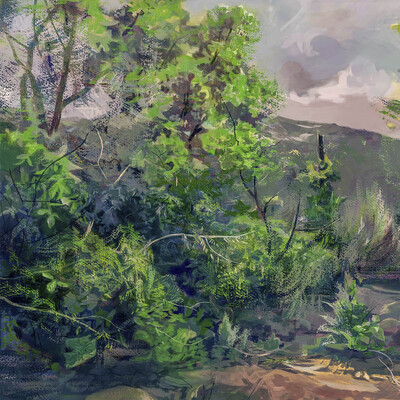 7