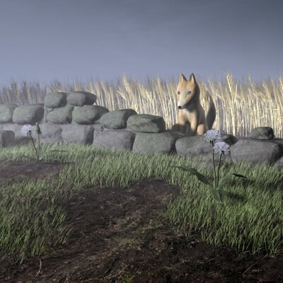 The Fox