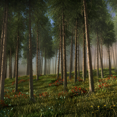 Forest
