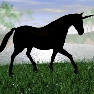 ten edinoroga(Shadow of a unicom)