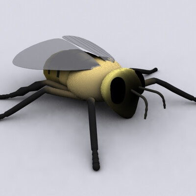 Muha muhoy