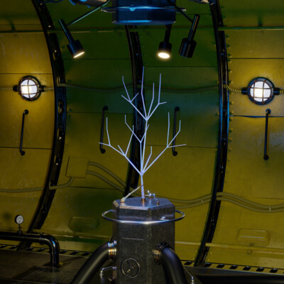 Exotic Plant Generator