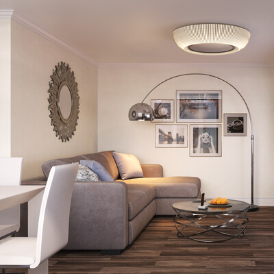 Living room with kitchen and hallway.