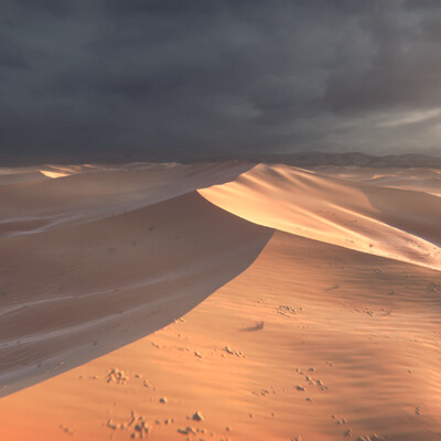 sand dunes
