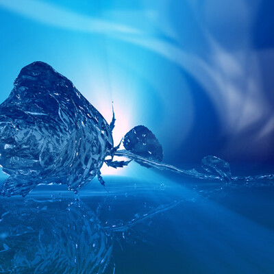 Ice rose