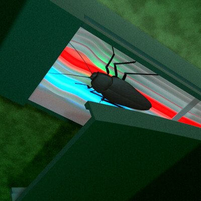 Wirebug