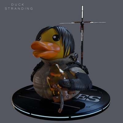 Duck Stranding