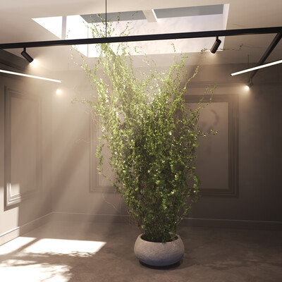 light