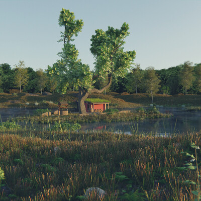 House on the island