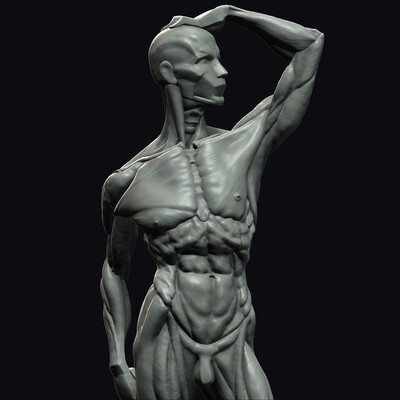 Ecorche