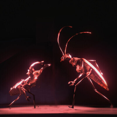 ikar 2022, Title SEQUENCE
