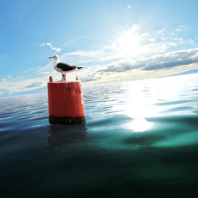 Don't swim behind the buoys!