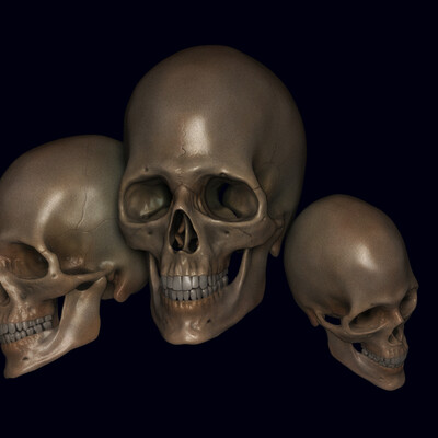 Scull