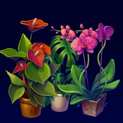 Plants