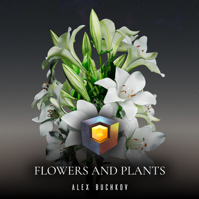 flowers and plants