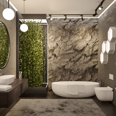 bathroom concept