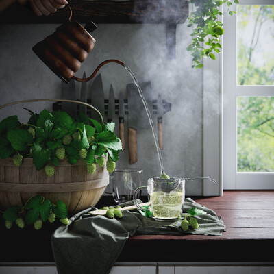 Tea with hops