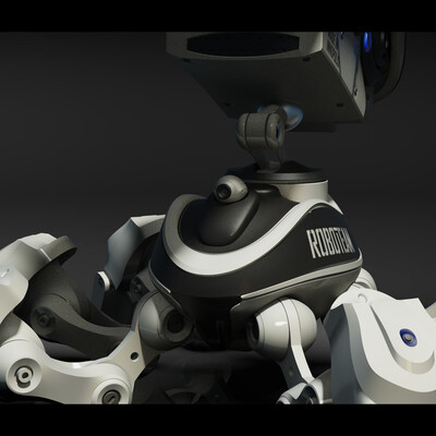 Robot from Innopolis