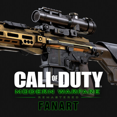 Call of Duty MW D-25S Fan Art