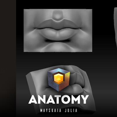 Anatomy by Mayskaia Julia