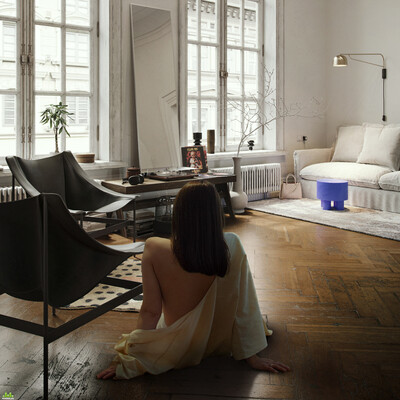 Yves Klein LIVING ROOM PROJECT