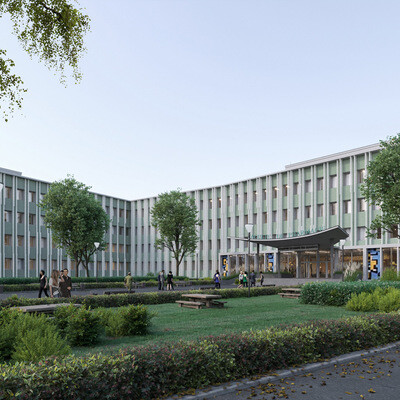 THE UNIVERSITY OF LILLE