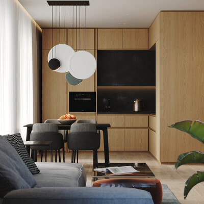 CONTEMPORARY APARTMENT FOR ONE PERSON IN RIVER PARK