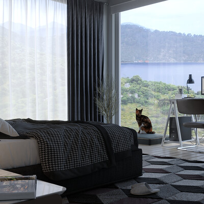 Interior visual examples