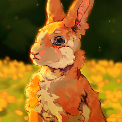 sun bunny