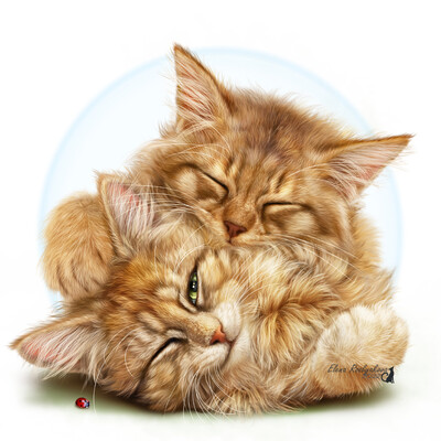 cat