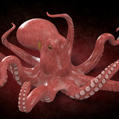 Octopus