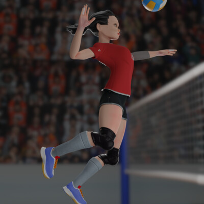 Volleyball player