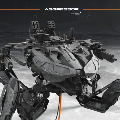 Aggressor