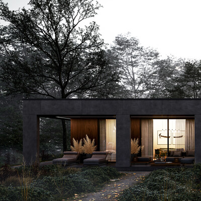 THE HOUSE IN THE THICKET