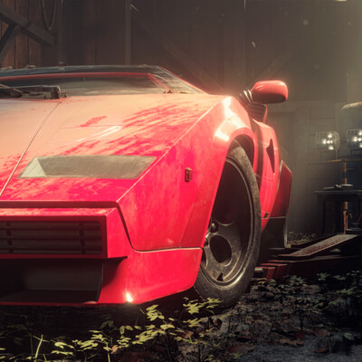 Lamborgini Countach - hidden treasure