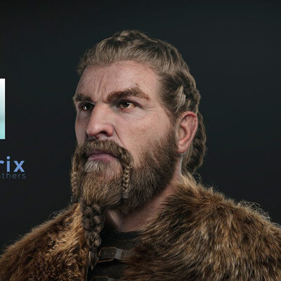 Viking hair