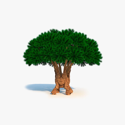 Transformer Tree