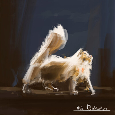 A cat