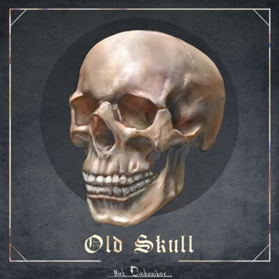 Old skull
