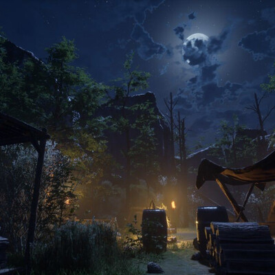 Night Forest Camp