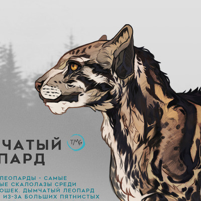 Smoky leopard