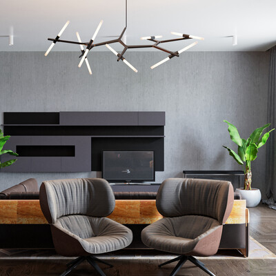 Modernist living room