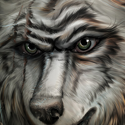 Wolf