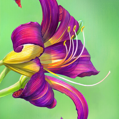 flower