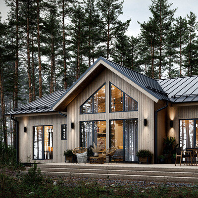 HOUSE IN A PINE FOREST