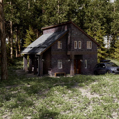House in a pine forest