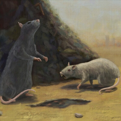 Rats in the landfill.