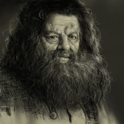 Hagrid/ / Drawing in Photoshop Timelapse / Aleksandr Platonychev