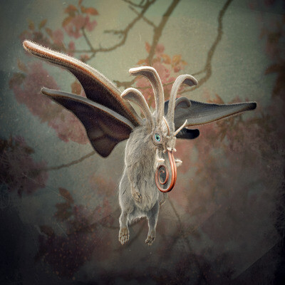 Moth