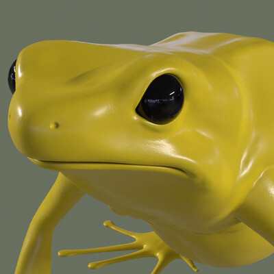 frog dart frog